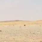 This is how hot it is in Saudi Arabia
