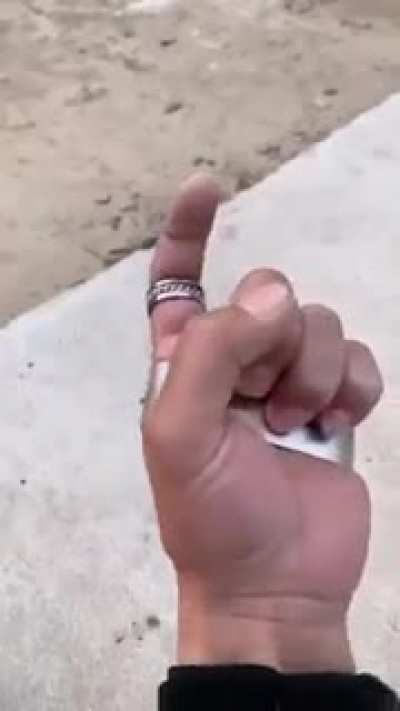 The Autoclitter