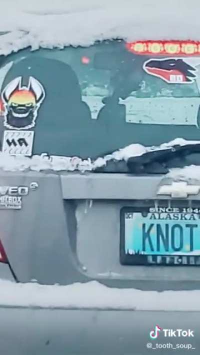 Furry_irl