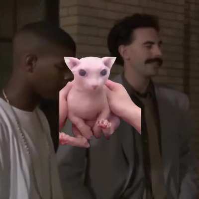 Bing bong bing