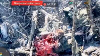 Wounded Russian soldier killed by Ukrainian Drone, revealing his still beating heart 
