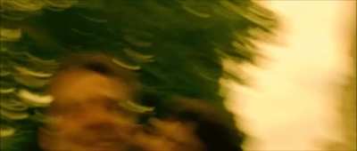 Small pleasures of Amelie