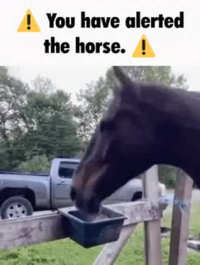 ⚠️rule⚠️