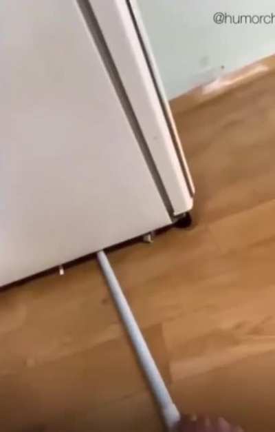 Just cleaning under the fridge