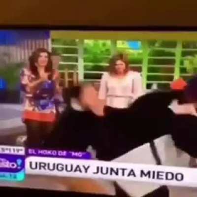 Sexo
