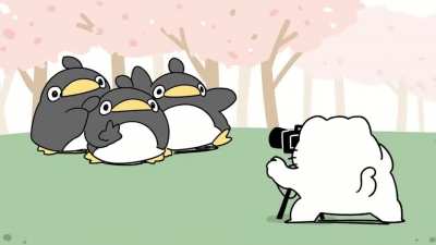 Hai Chizu~!