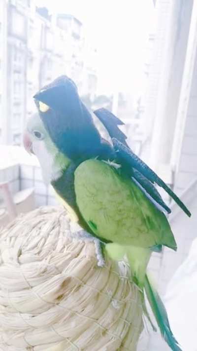 Sooooo. Cute……