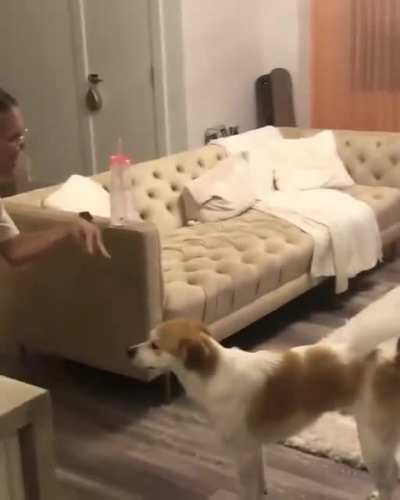Singing to her dog