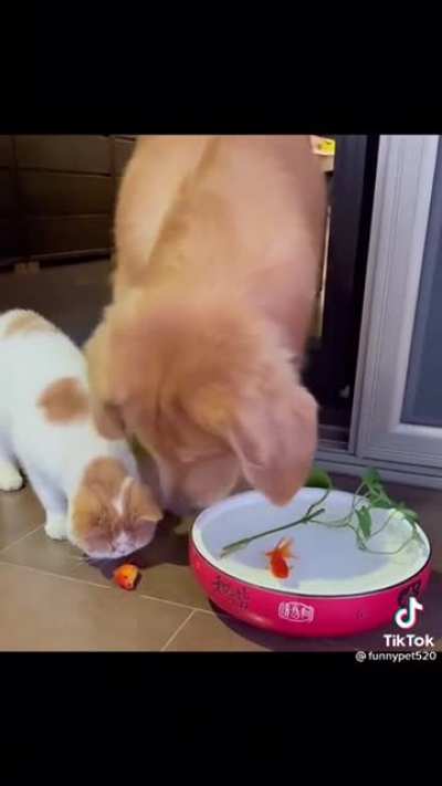 Maybe Maybe Maybe