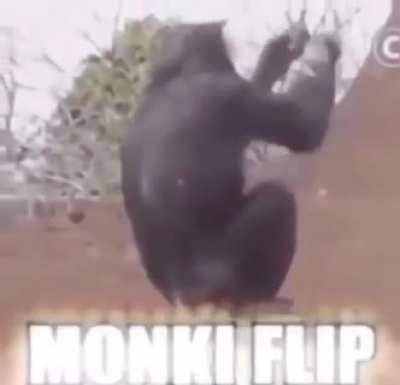Hehe