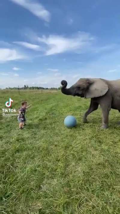 Don’t play ball with an elephant