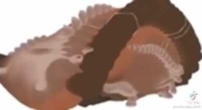 Platypus