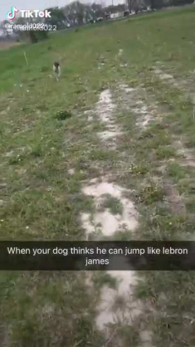 I don't think he made the jump