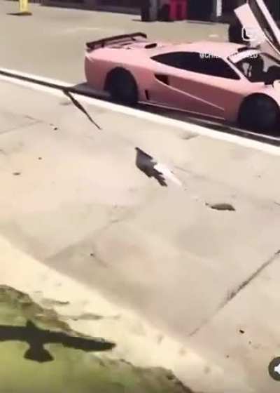 Live footage of drone stealing a car