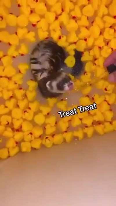 Maybe maybe maybe