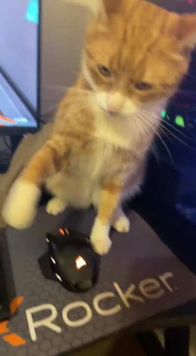 Broski wont let me play 🥲