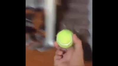 duke, do you want the ball?