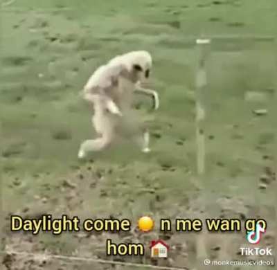 Mokn e