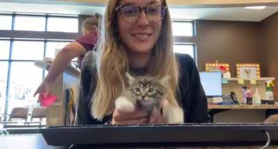 Looks like the new receptionist is overqualified