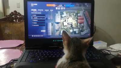 My cat likes watching me play R6 but gets bored when stuck in loading screens. Please get SSDs so you'll load faster and my cat won't get bored :)