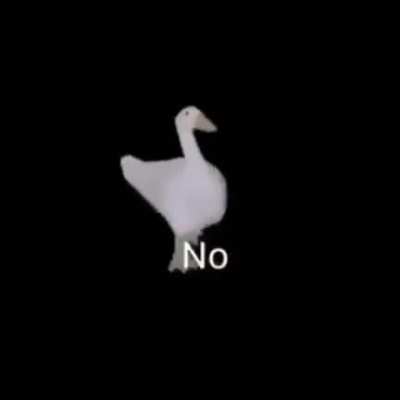 Her: Do you think Birds are real? Me: