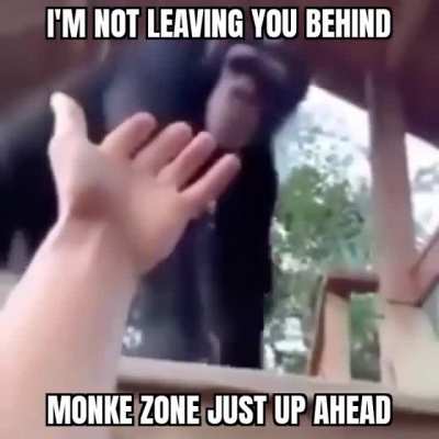 APES TOGETHER STRONG