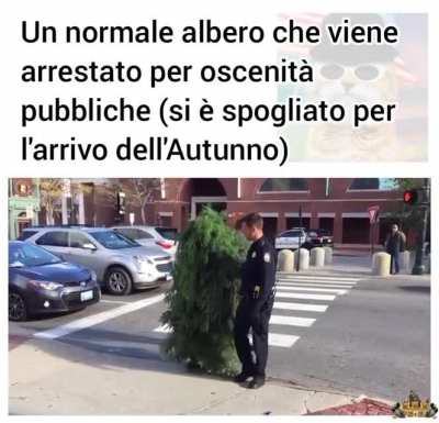 Per la sfida a tema Autunno 👀😳