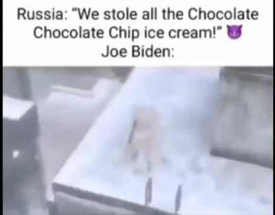 Joe Biden freaking out over no chocolate chocolate chip (I don’t blame him tho 🍫🍪🍦 is 🔥🔥🥶🥶🥶)