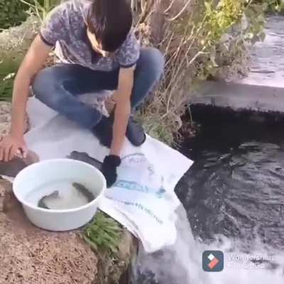 Who needs fishing pole when you can trick the fishes to come to you