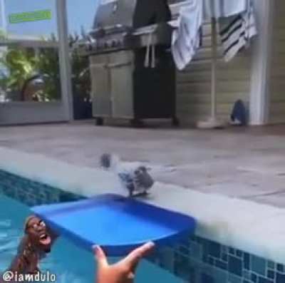 Flotation device