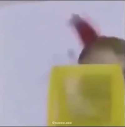 I don’t wanna go