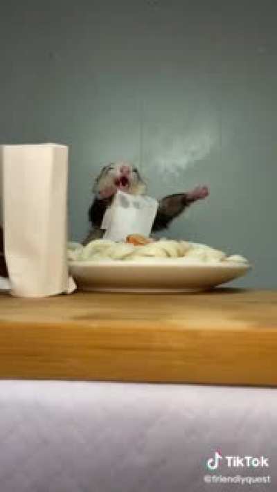 Ratatouille’s long lost brother