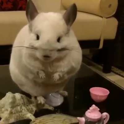 Egads, man!