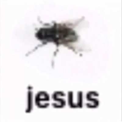 Say hi to Jesús