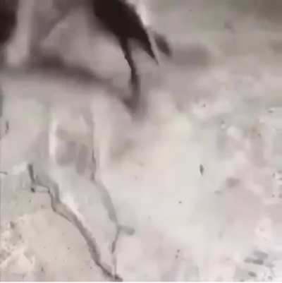 Is this rock moving?
