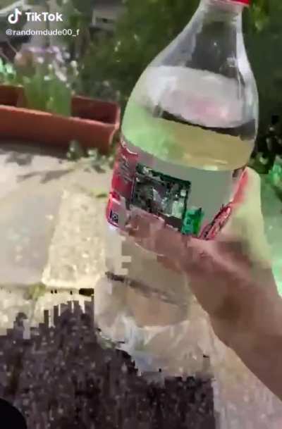 Cursed_W A T E R