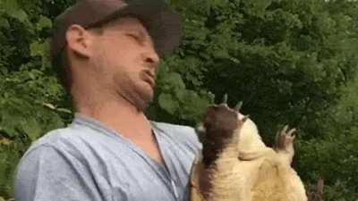 Trying to kiss a snapping turtle.