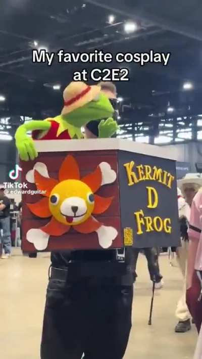 El enemigo de Farfetch D, Kermit D Frog