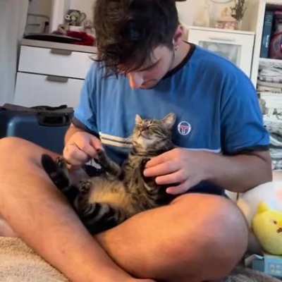 paws massage