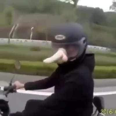 Just chillin in a motorcycle