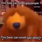 Most of this sub 🤣