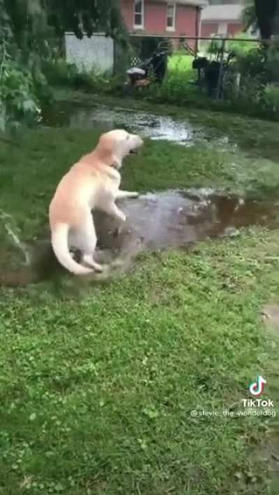 Having the time of his life