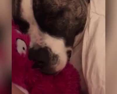 Catching some Zs