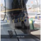 Only in New Zealand