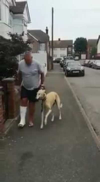 This bloke spent £300 on vets fees and X-rays and it turned out nothing was wrong with the dog, was just copying him out of sympathy
