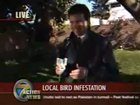 Bird shits in reporters mouth