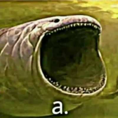 I'm 15 and this is yeet