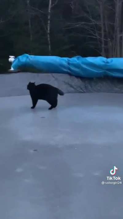 Interpretive dance