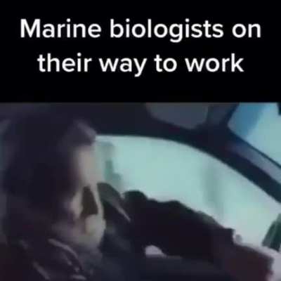 Title