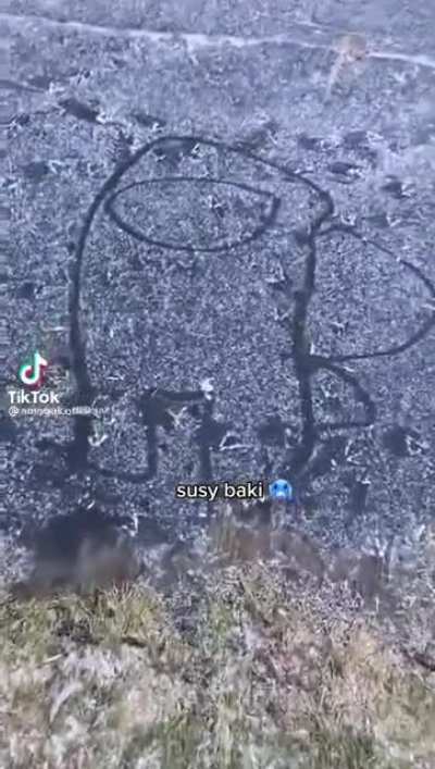 ok